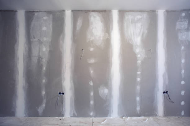 Best Commercial Mold Inspection  in Mount Ivy, NY